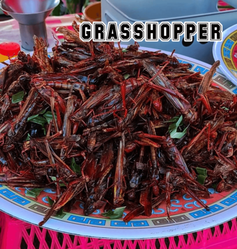 Weird Snacks In Thailand 2 grasshopper